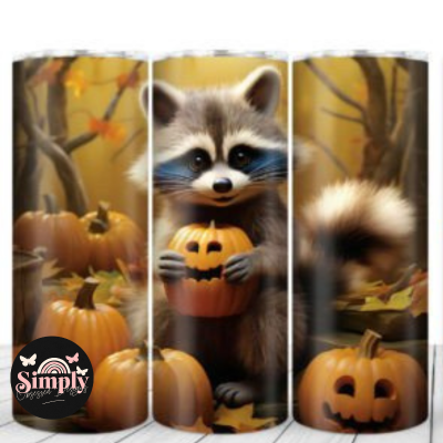 Fall baby Raccoon