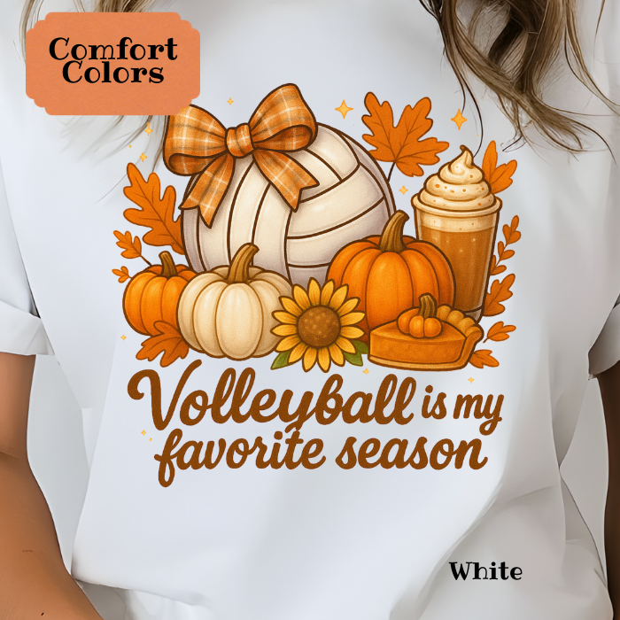 Volleyball is my Favorite Season Fall Vibe Tee