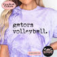 Gators Volleyball.
